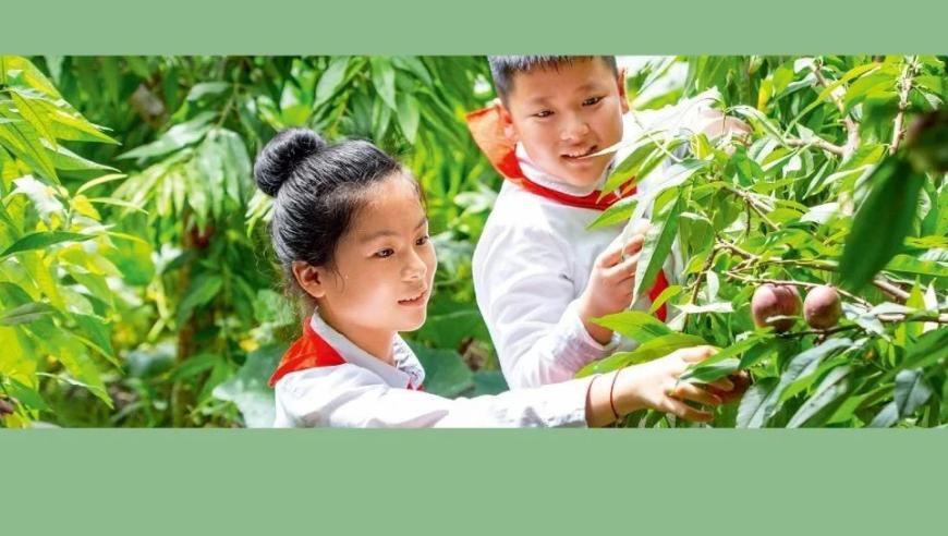 2025澳门六今唤开奖结果出来,猫眼旗下公司被罚没13.1万,机构预测与落实方法揭秘_手机版V8.35